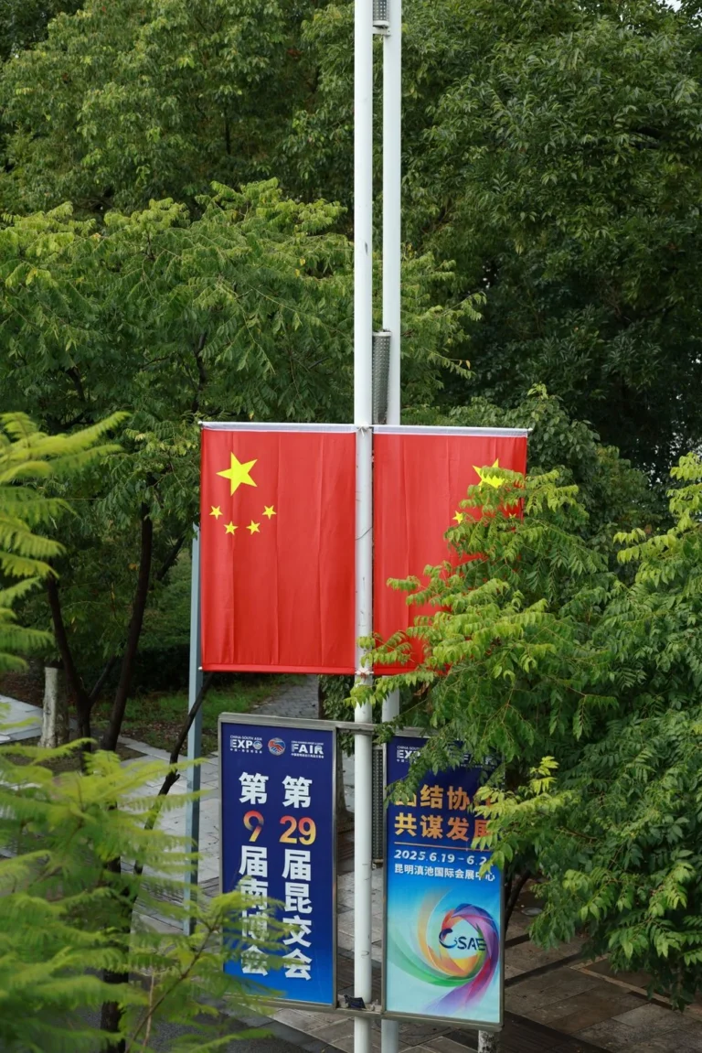 Beach flag (steag publicitar)